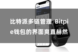 比特派多链管理  Bitpie钱包的界面爽直赫然