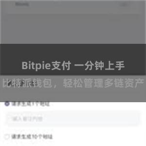 Bitpie支付 一分钟上手比特派钱包，轻松管理多链资产