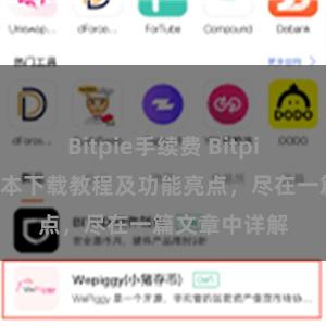 Bitpie手续费 Bitpie钱包最新版本下载教程及功能亮点，尽在一篇文章中详解