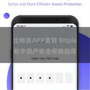 比特派APP直链 Bitpie数字资产安全保障指南