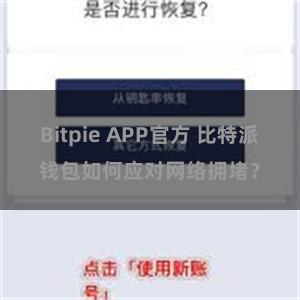 Bitpie APP官方 比特派钱包如何应对网络拥堵？