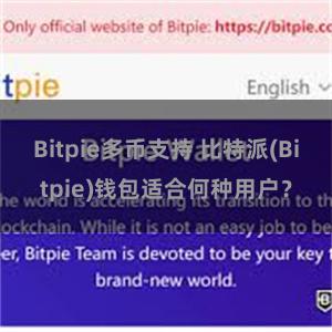 Bitpie多币支持 比特派(Bitpie)钱包适合何种用户？