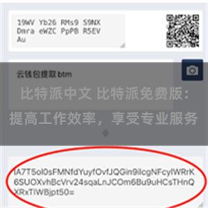 比特派中文 比特派免费版：提高工作效率，享受专业服务