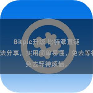 Bitpie升级 比特派直链下载方法分享，实用简单易懂，免去等待烦恼。