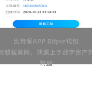 比特派APP Bitpie钱包使用教程官网，快速上手数字资产管理