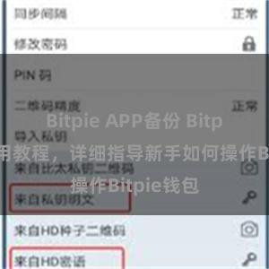 Bitpie APP备份 Bitpie钱包使用教程，详细指导新手如何操作Bitpie钱包