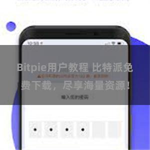 Bitpie用户教程 比特派免费下载，尽享海量资源！