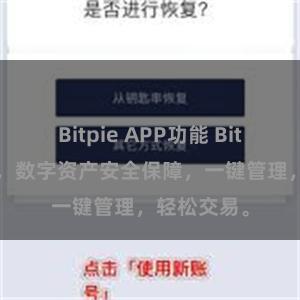 Bitpie APP功能 Bitpie免费版，数字资产安全保障，一键管理，轻松交易。