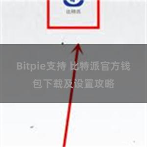 Bitpie支持 比特派官方钱包下载及设置攻略