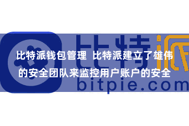 比特派钱包管理  比特派建立了雄伟的安全团队来监控用户账户的安全