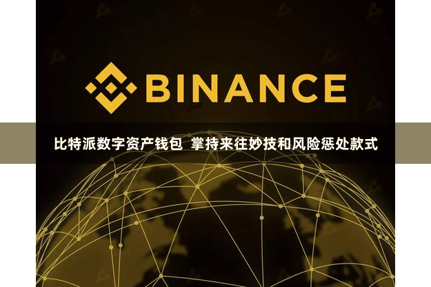 比特派数字资产钱包  掌持来往妙技和风险惩处款式