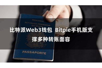 比特派Web3钱包  Bitpie手机版支撑多种转账面容
