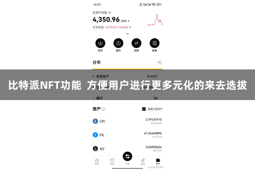 比特派NFT功能  方便用户进行更多元化的来去选拔