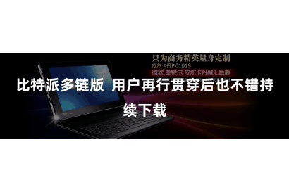 比特派多链版  用户再行贯穿后也不错持续下载