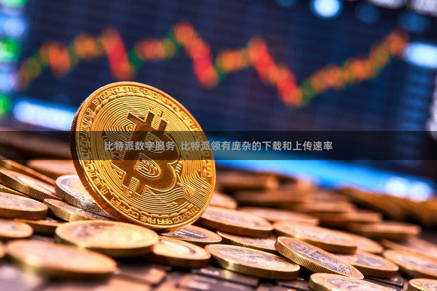 比特派数字服务  比特派领有庞杂的下载和上传速率