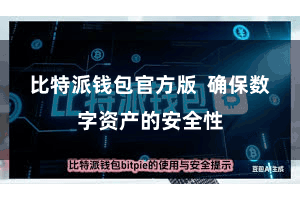 比特派钱包官方版 确保数字资产的安全性