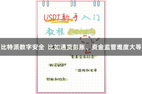 比特派数字安全  比如通货彭胀、资金监管难度大等