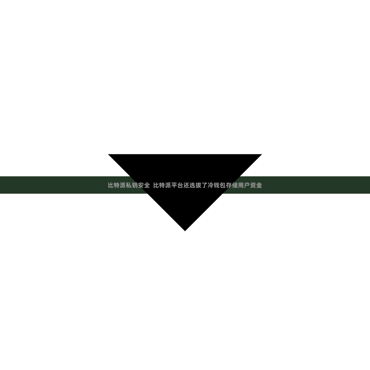 比特派私钥安全  比特派平台还选拔了冷钱包存储用户资金
